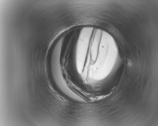 X0000057080676200510010200