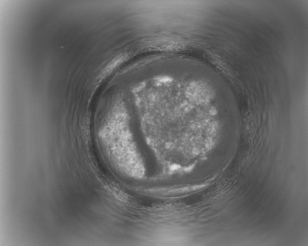 X0000057080679200510010200