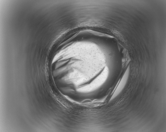 X0000057080680200510010200