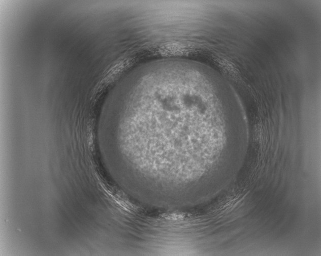 X0000057080687200510010200