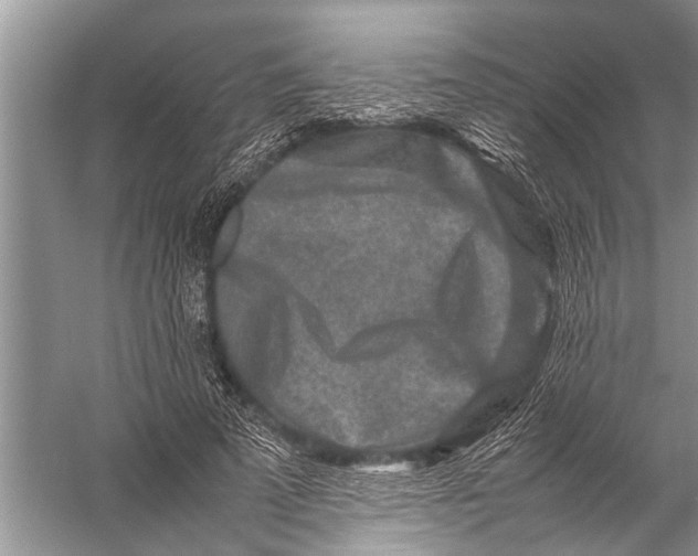 X0000057080689200510010200