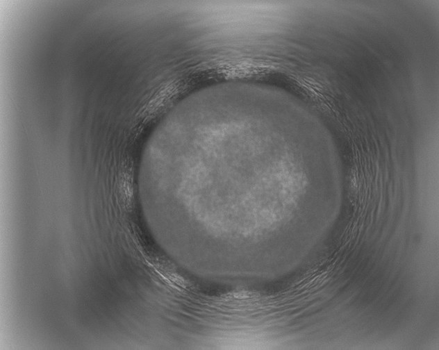 X0000057080691200510010200