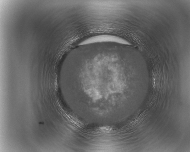 X0000057080692200510010200