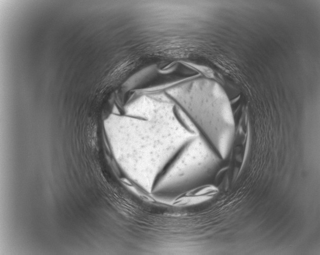 X0000057080693200510010200