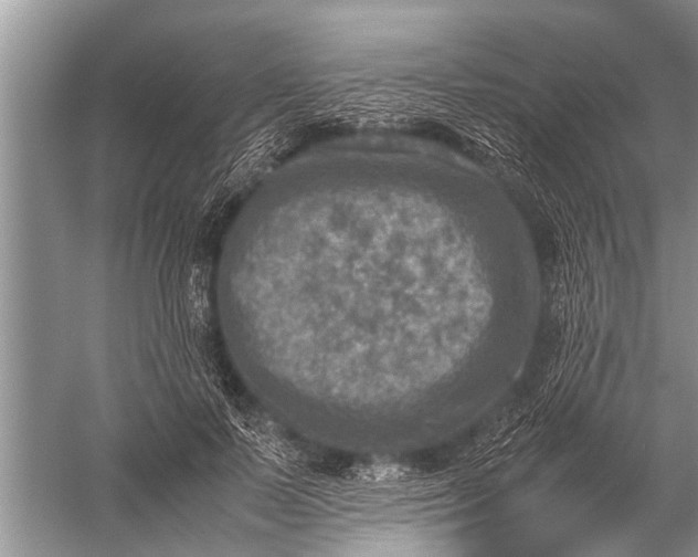 X0000057080695200510010200