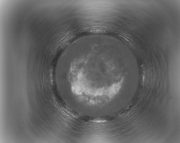 X0000057080696200510010200