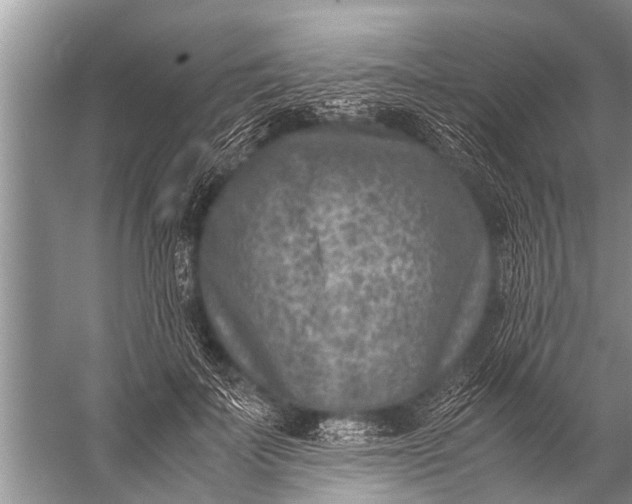 X0000057080699200510010200