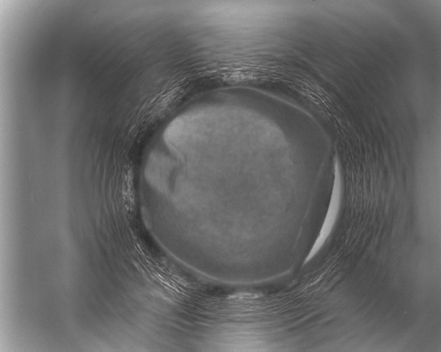 X0000057080700200510010200