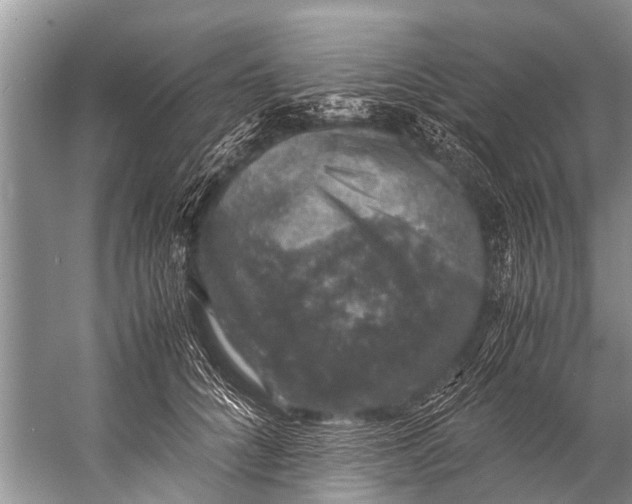 X0000057080704200510010200