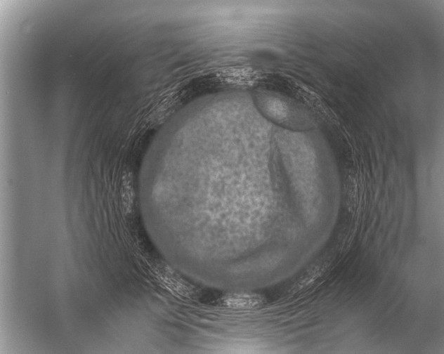 X0000057080707200510010200