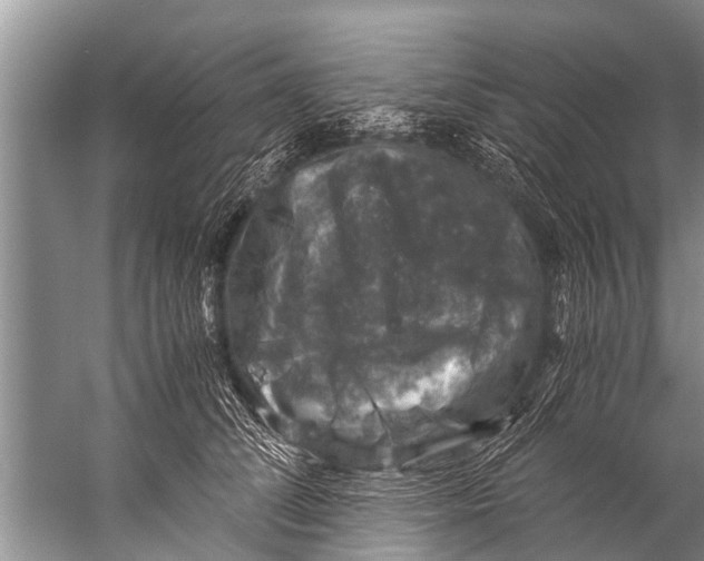 X0000057080708200510010200