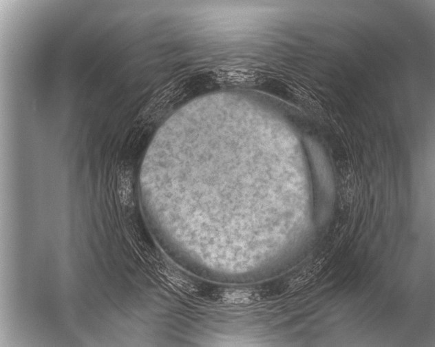 X0000057080709200510010159