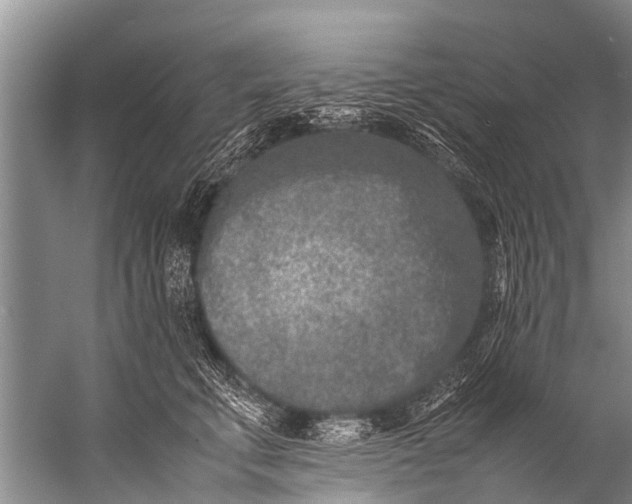 X0000057080711200510010159