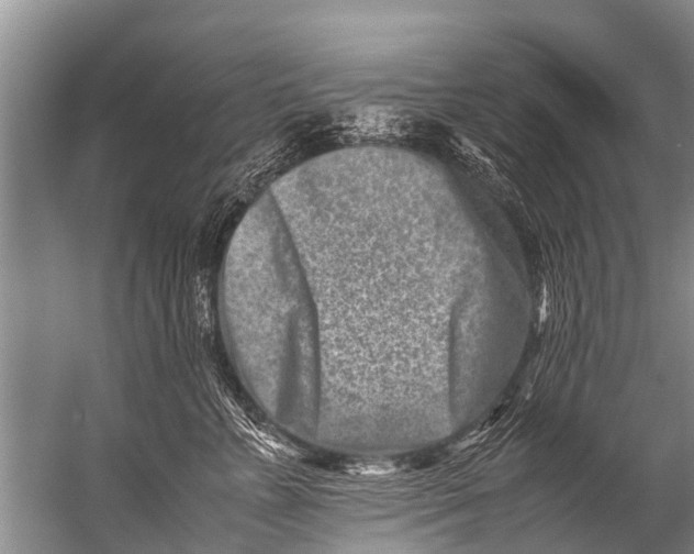 X0000057080715200510010159