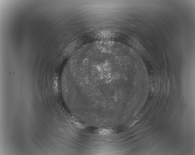 X0000057080718200510010159