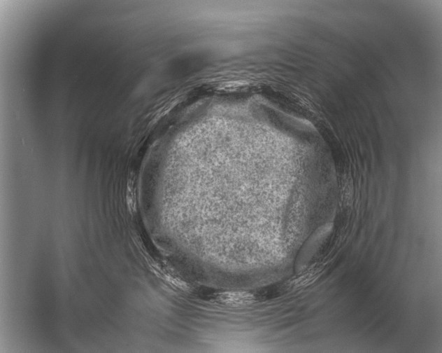 X0000057080719200510010159