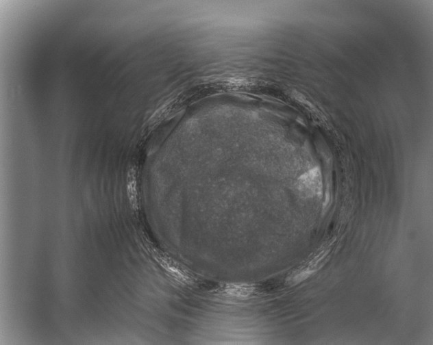 X0000057080720200510010159