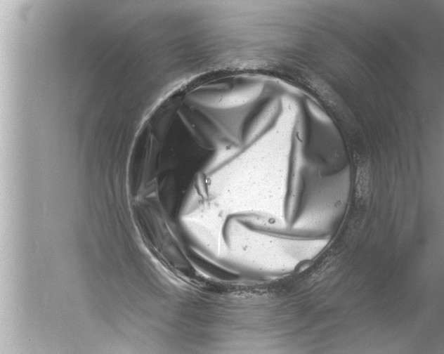 X0000057080722200510010159