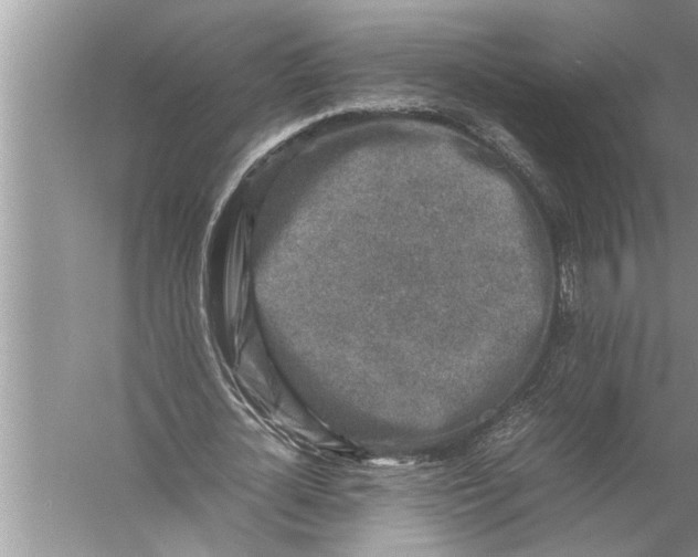 X0000057080724200510010159