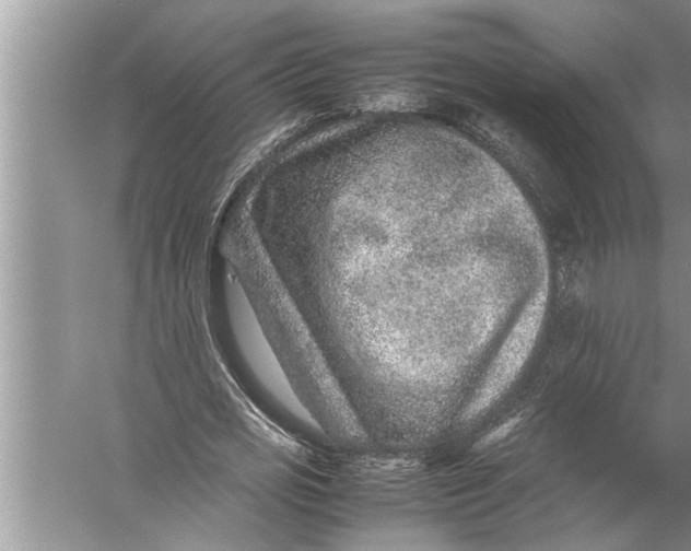 X0000057080725200510010159