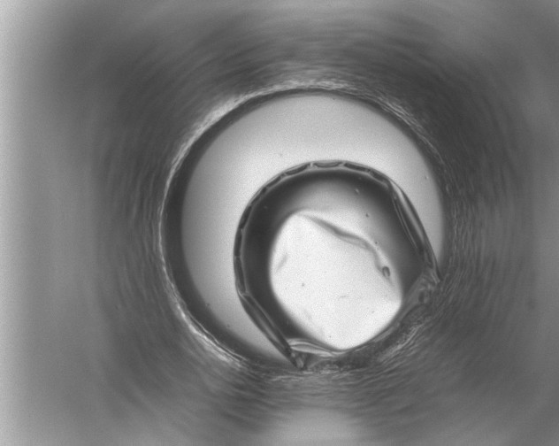 X0000057080726200510010159