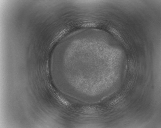 X0000057080729200510010159