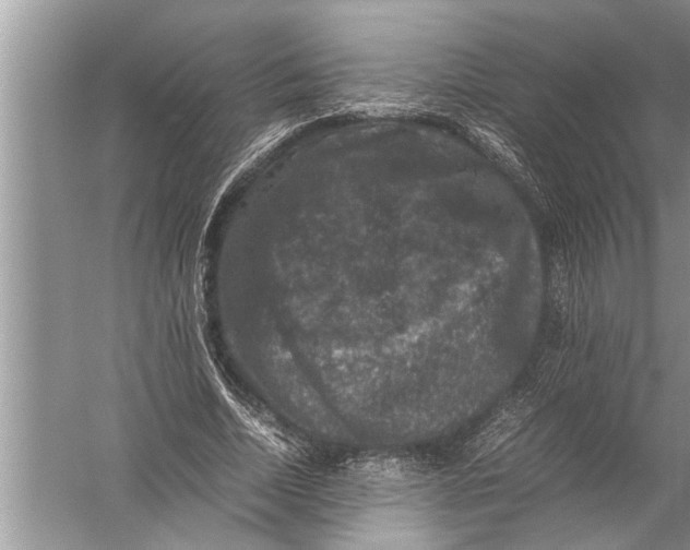 X0000057080730200510010159