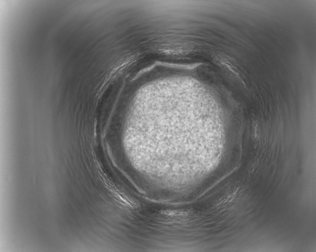 X0000057080733200510010159