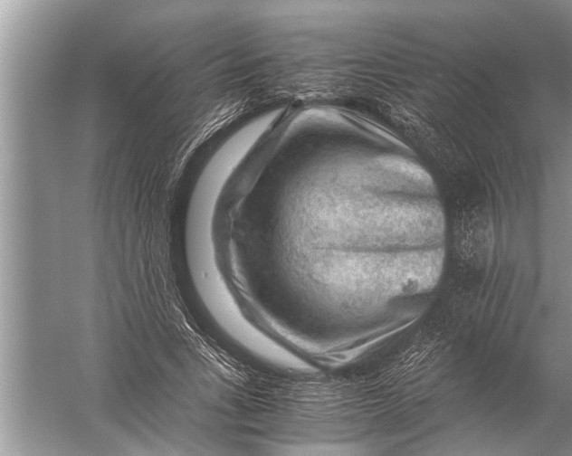 X0000057080735200510010159