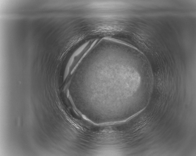 X0000057080742200510010159