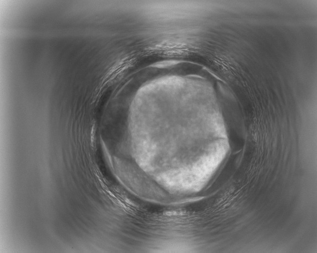 X0000057080744200510010159