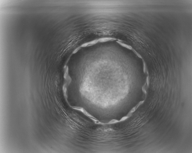 X0000057080747200510010159