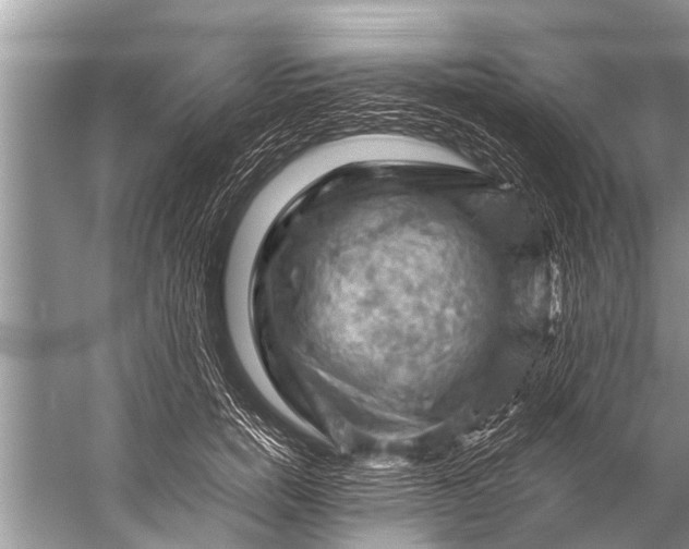 X0000057080750200510010159