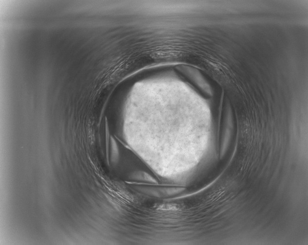 X0000057080751200510010159