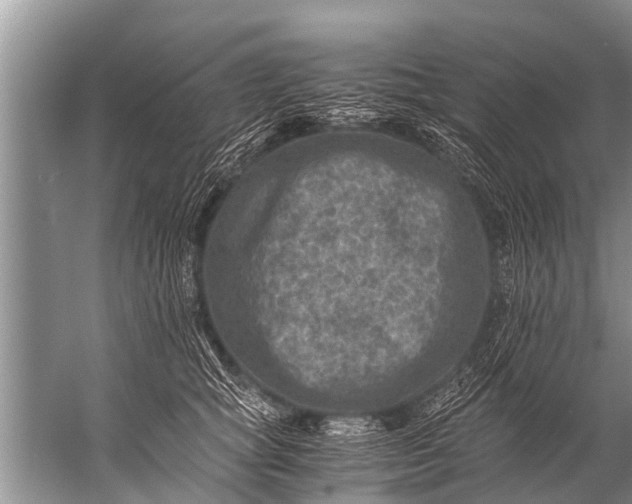 X0000057080757200510010159