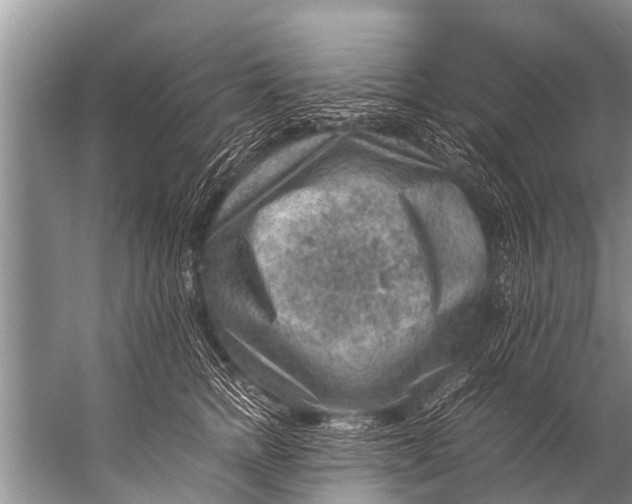 X0000057080758200510010159