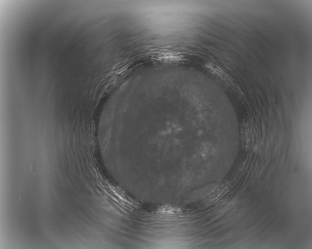 X0000057080760200510010159