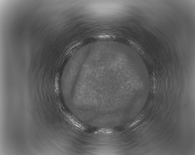 X0000057080762200510010159