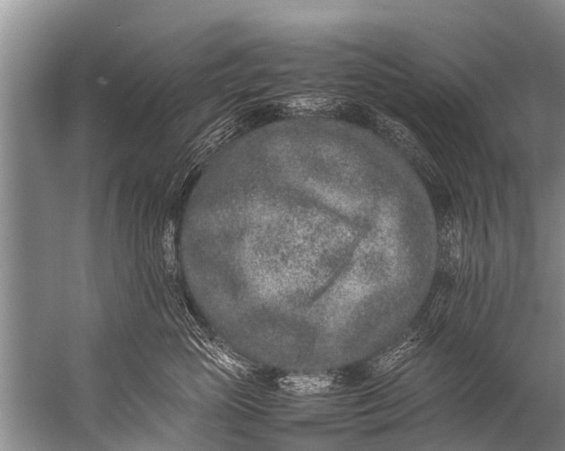 X0000057080765200510010159