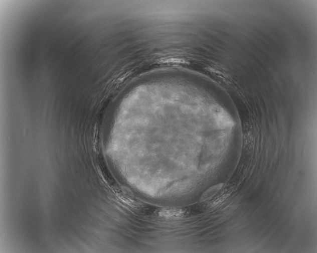 X0000057080767200510010159