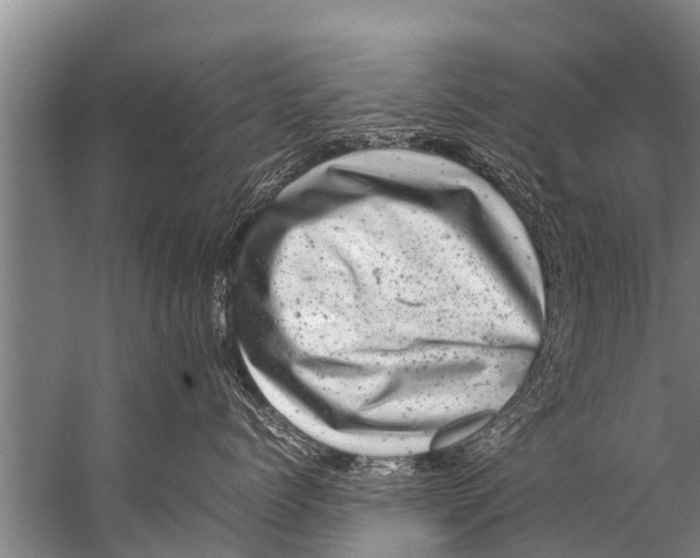 X0000057080768200510010159