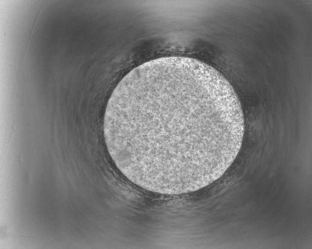 X0000057080769200510010158