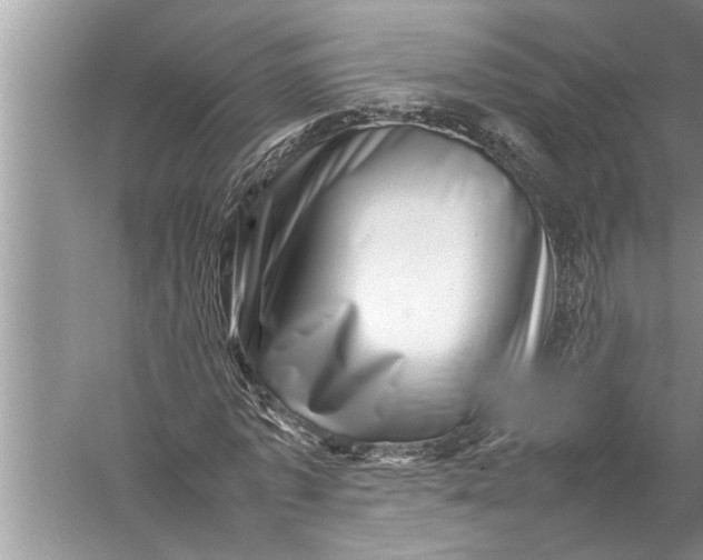 X0000057080773200510010158