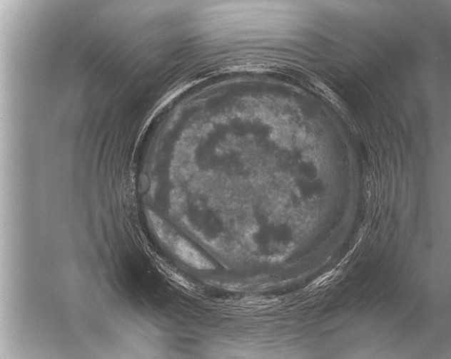 X0000057080779200510010158