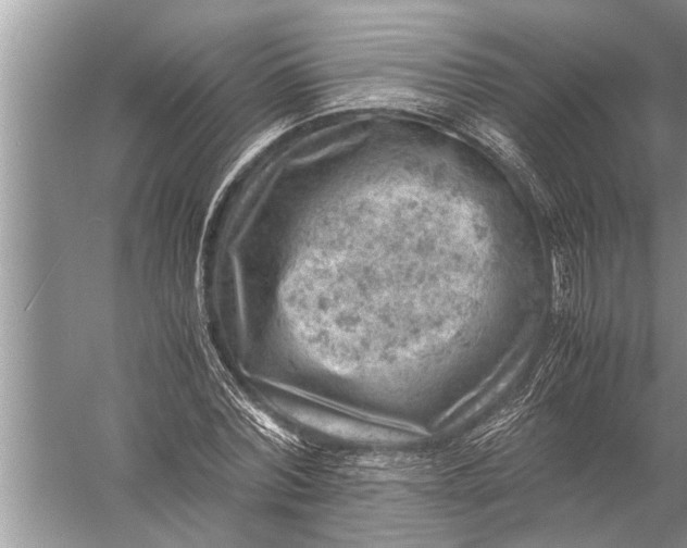 X0000057080780200510010158