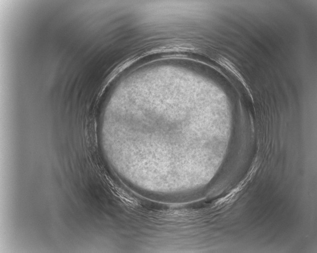 X0000057080781200510010158