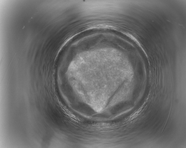 X0000057080783200510010158