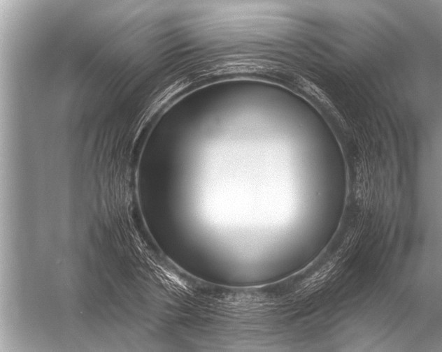 X0000057080786200510010158