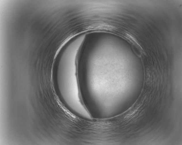 X0000057080788200510010158