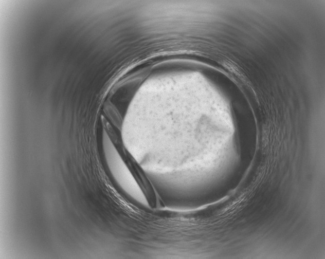 X0000057080789200510010158